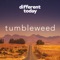 Tumbleweed - Different Today lyrics