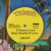 Amant T.K. Disco 12 Inch Mix - EP artwork