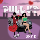 Pull Up artwork