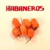 Habaneros - EP