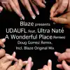 A Wonderful Place (feat. Ultra Naté) [Remixes] - Single album lyrics, reviews, download