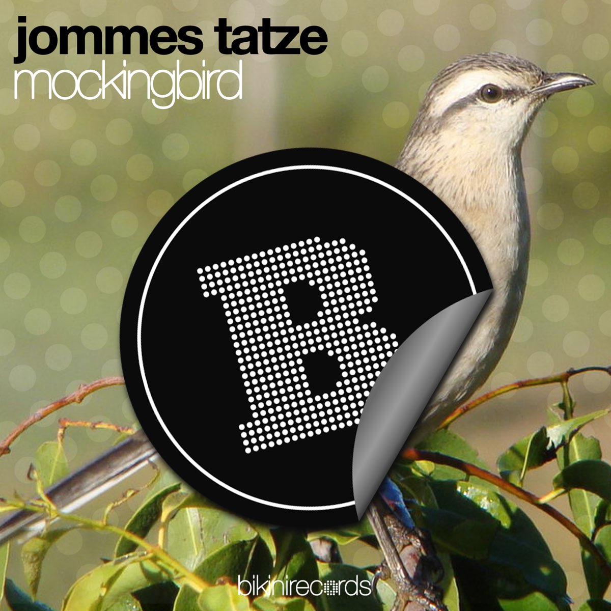 Mockingbird ремикс. Tatze.