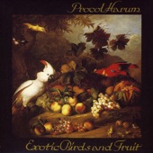 Procol Harum - Beyond the Pale