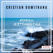 Neprihănită dragoste dintâi (Live) artwork