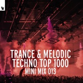 Trance & Melodic Techno Top 1000 (Mini Mix 013) [DJ Mix] artwork