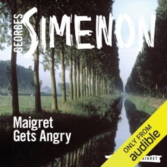Maigret Gets Angry: Inspector Maigret, Book 26