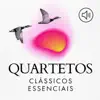 Stream & download String Quartet No. 8 in C Minor, Op. 110: II. Allegro molto