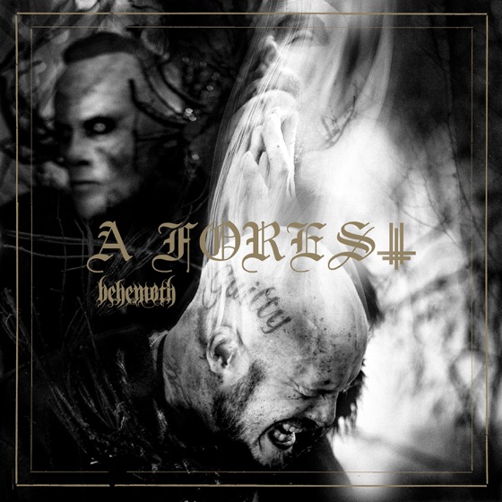 Cover artwork for A Forest (feat. Niklas Kvarforth)