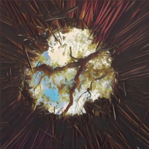 Bonsai - Single
