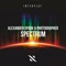 Spectrum (Extended Mix) artwork