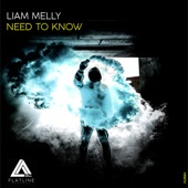 Need to Know (Extended Mix) artwork