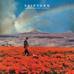 Flipturn - Did I Love You (Like I Promised To)