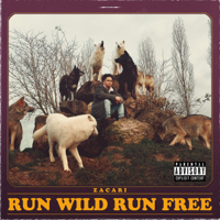 Zacari - Run Wild Run Free - EP artwork