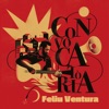 Feliu Ventura - Ens guien les estrelles (feat. Pep Gimeno "Botifarra")