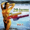 20 Éxitos, Vol. 1