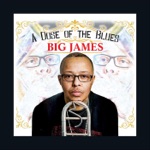 Big James - Can't Get Enough of Your Love