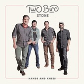 Two Bird Stone - Me and My Friends