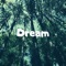 Dream - Sin$eer lyrics