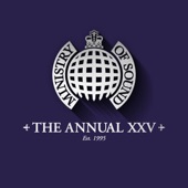 The Annual XXV - Ministry of Sound artwork