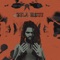 Dela Move - Chronixx lyrics