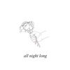 All Night Long - Single