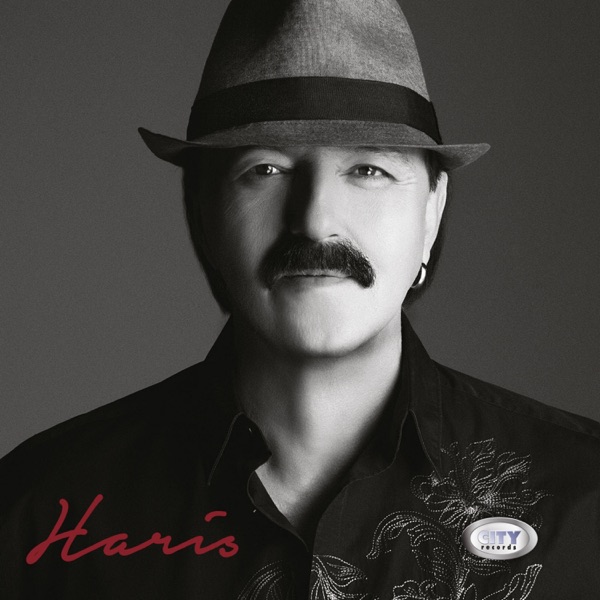Haris Dzinovic - Još Sam Neko Tvoj