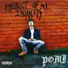 Product of My Insanity - EP album lyrics, reviews, download