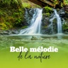 Ensemble de Musique Zen Relaxante - Thérapie divine