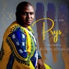 Al Die Prys - Single