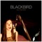 Blackbird - Sara Niemietz lyrics