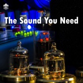 The Sound You Need artwork