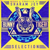 Bunny Tiger Selection, Vol. 10 artwork