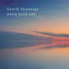 Gentle Footsteps - Single album lyrics, reviews, download