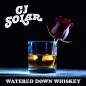 Watered Down Whiskey artwork