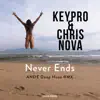 Stream & download Never Ends (ANDE Deep House RMX) - Single