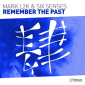 Remember the past (Extended Mix) artwork
