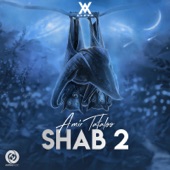 Shab 2 artwork