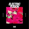 Electric Fusion, Vol. 8
