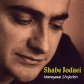 Shabe Jodaei artwork