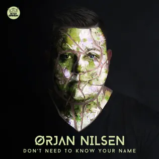 lataa albumi Ørjan Nilsen - Dont Need To Know Your Name
