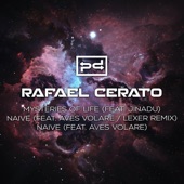 Naive (feat. Aves Volare) [Lexer Remix] artwork