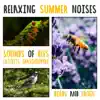 Stream & download Relaxing Summer Noises: Sounds of Bees, Crickets, Grasshoppers, Birds and Frogs