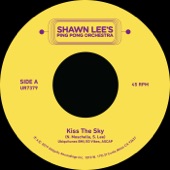 Shawn Lee - Kiss The Sky (Instrumental)