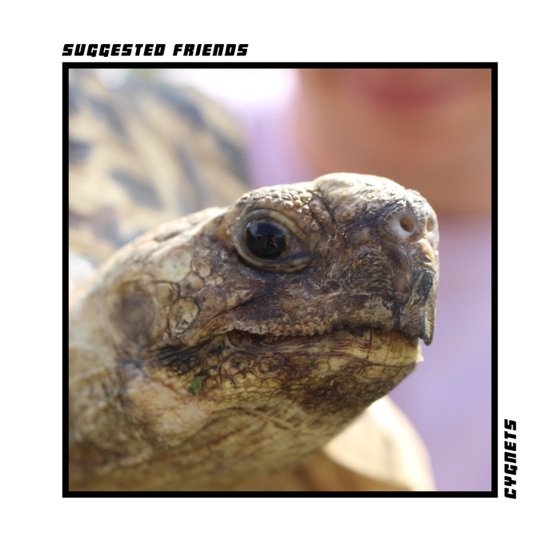 Cover artwork for Cygnets