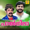 Shamsu - Ninne Njan