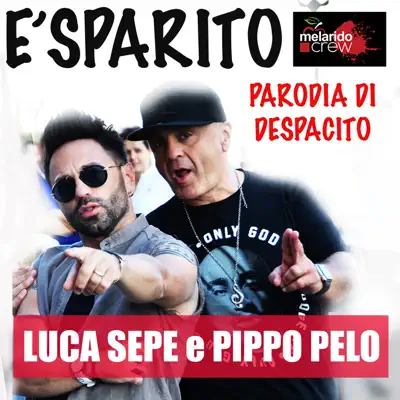 È Sparito (feat. Pippo Pelo) - Single - Luca Sepe