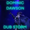 Dub Storm - Single album lyrics, reviews, download