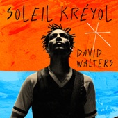 David Walters - Soleil Kréyol (feat. Vincent Segal)