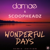 Wonderful Days (Remix Edition) artwork