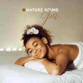 Nature Sound Spa – Soft Piano Jazz: The Harmony Moments artwork